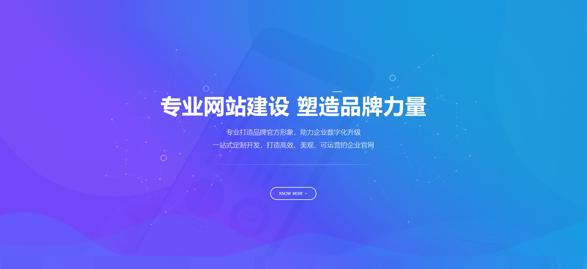 沈阳建站-专业网站建设 塑造品牌力量