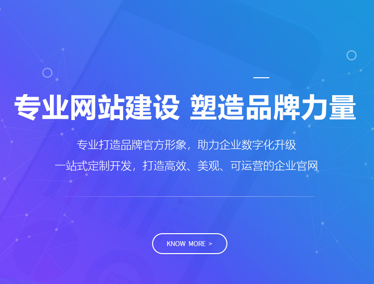 沈阳建站-专业网站建设 塑造品牌力量